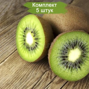 Саженцы Киви Хейворд -  комплект 5 шт.